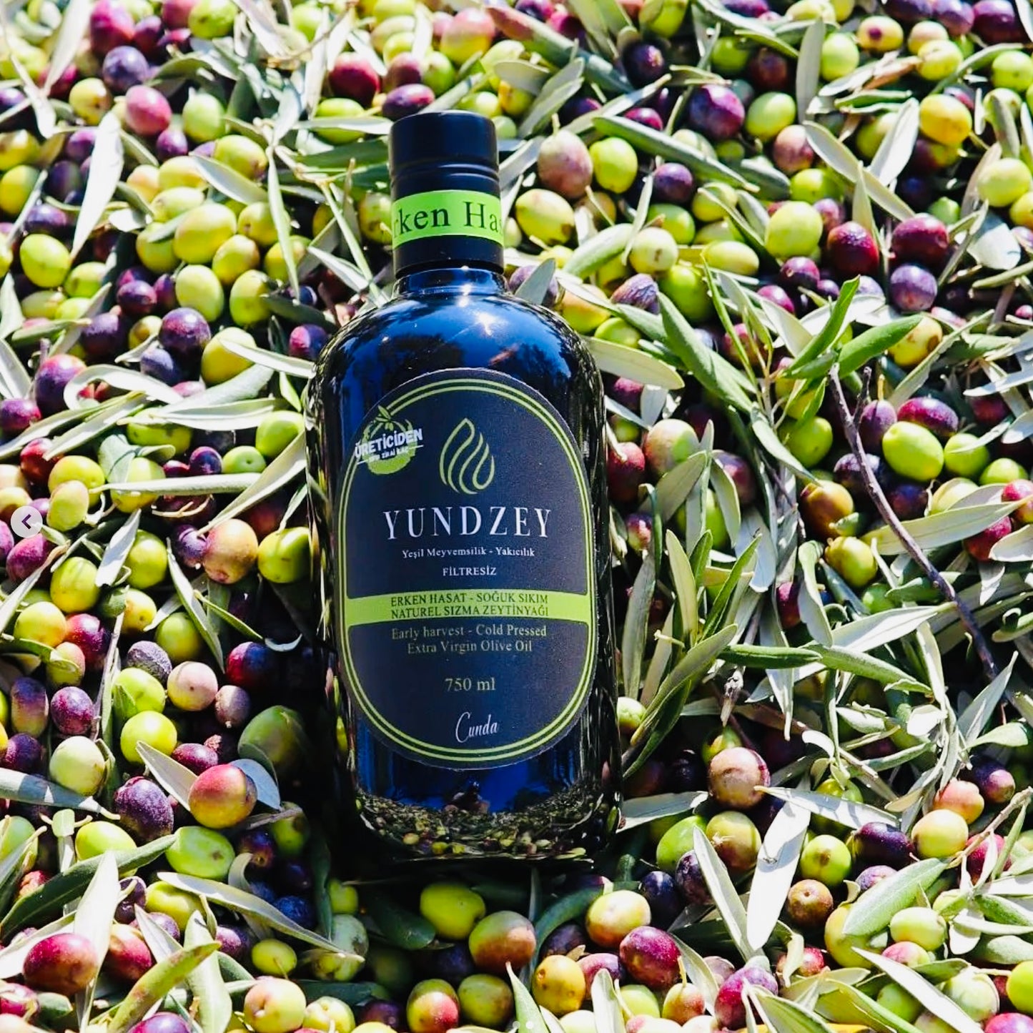 A Yundzey olive oil bottle elegantly displayed next to freshly harvested, ripped olives, highlighting the quality of the oil.